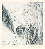 Jitka Bezúrová – Mušľa 