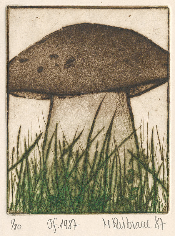 Marcel Dúbravec – Pf 1987 