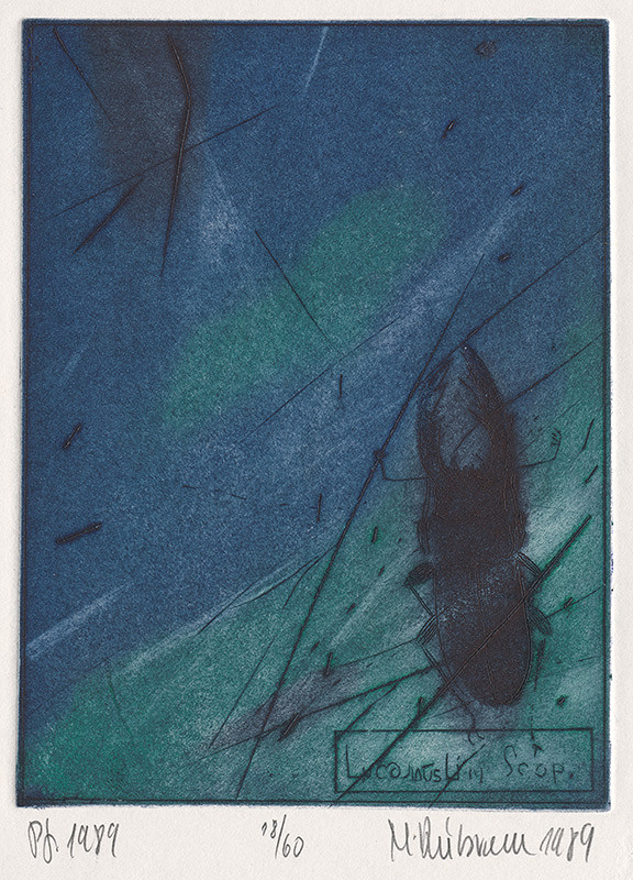 Marcel Dúbravec – Pf 1989 