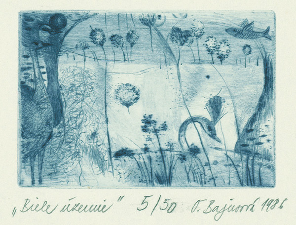 Oľga Bajusová – Biele územie 