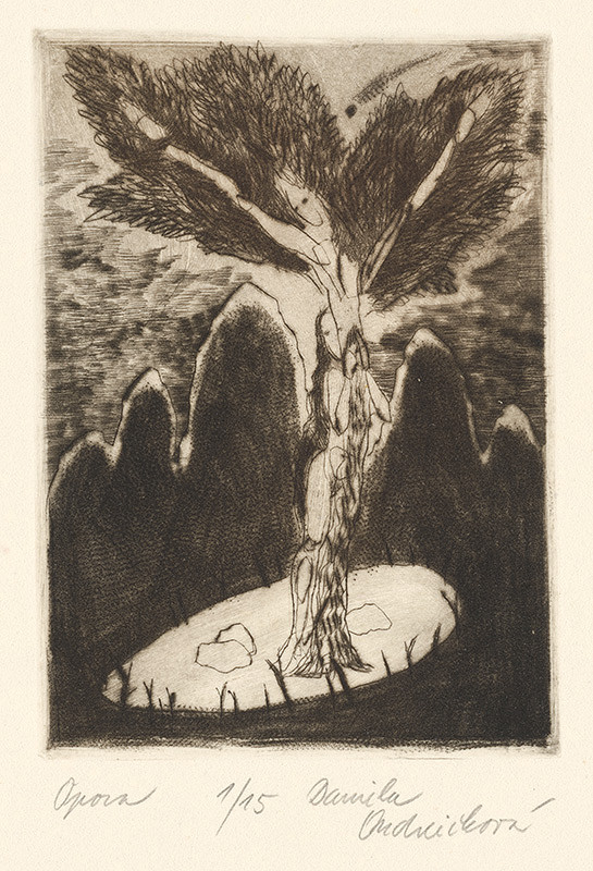 Daniela Ondreičková – Opora 