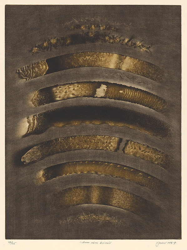 Robert Jančovič – Tiahneme nános tisícročí 