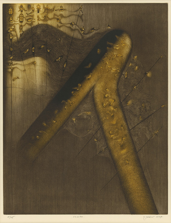 Robert Jančovič – Zbierka 