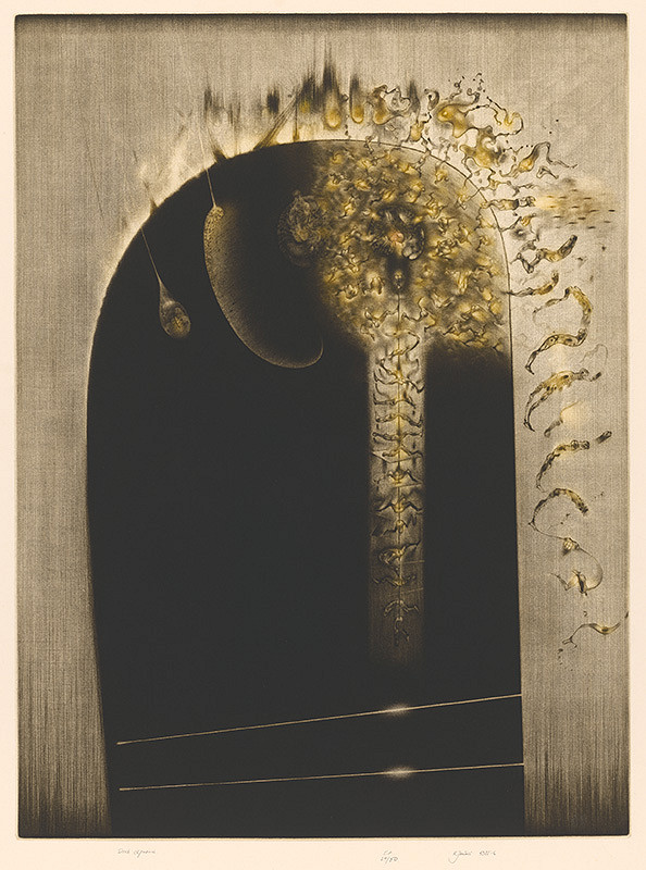 Robert Jančovič – Druh záporiaci 