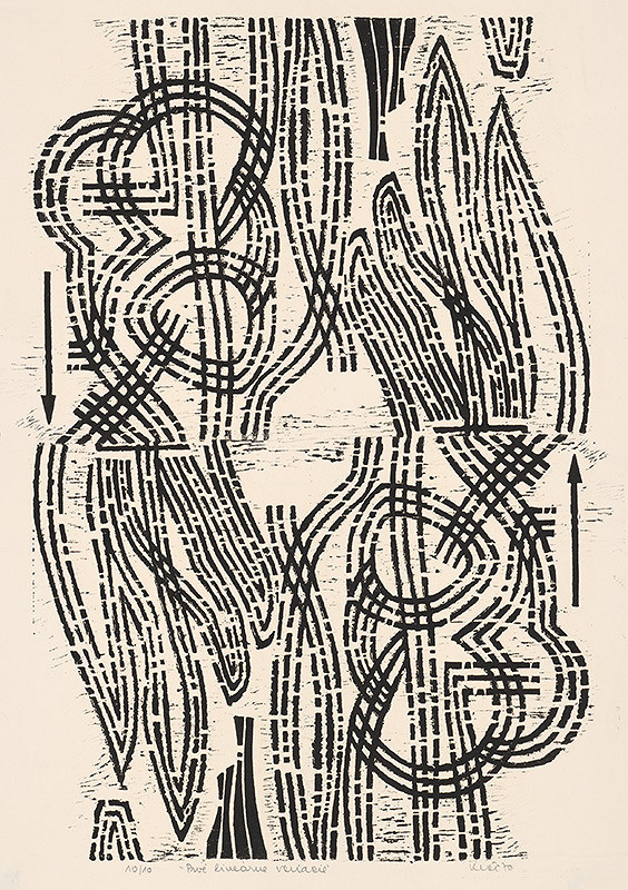 Fero Kráľ – Prvé lineárne variácie 