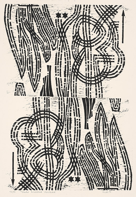 Fero Kráľ – Druhé lineárne variácie 