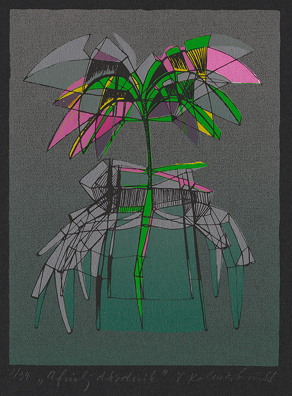 Tamara Kolenčíková – Africký dáždnik 