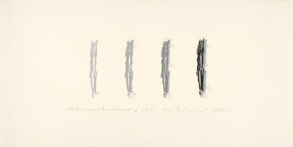 Andrzej Bednarczyk – Štyrikrát to isté