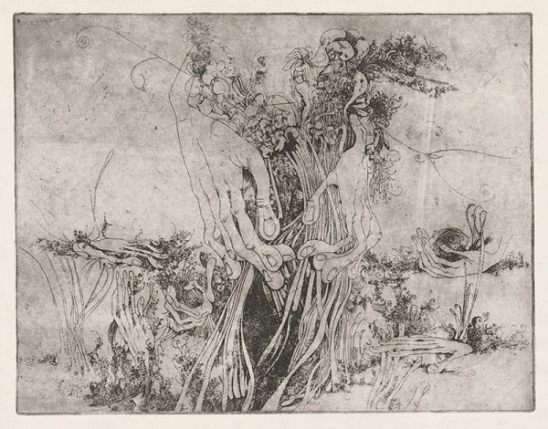 Alžbeta Štefunková-Szabová – Záhrada hudby II. 