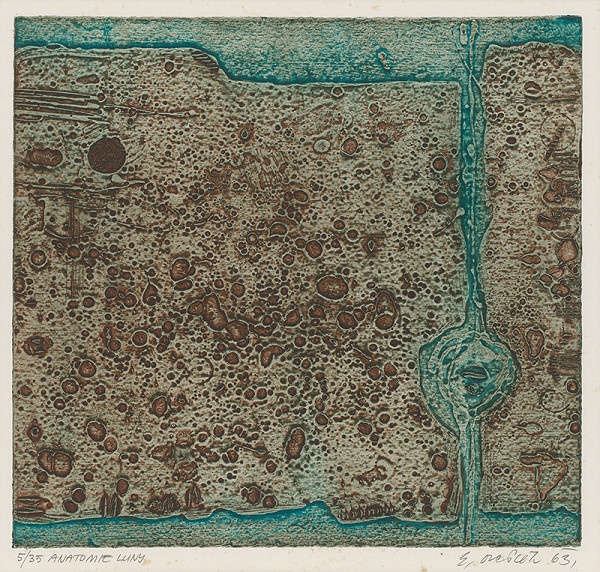 Eduard Ovčáček – Anatomie luny 