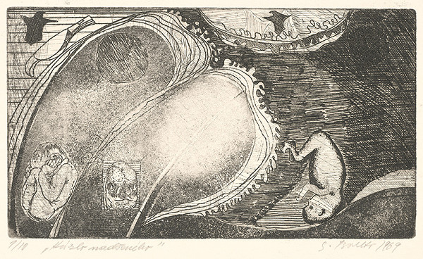 Stanislav Balko – Kúzlo nadšeného 