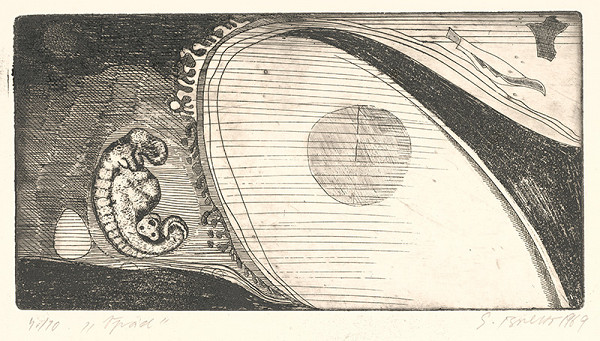 Stanislav Balko – Vpád 