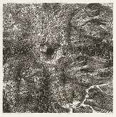 Adam Panek – Fermentation of Minds - Corn of Evil 