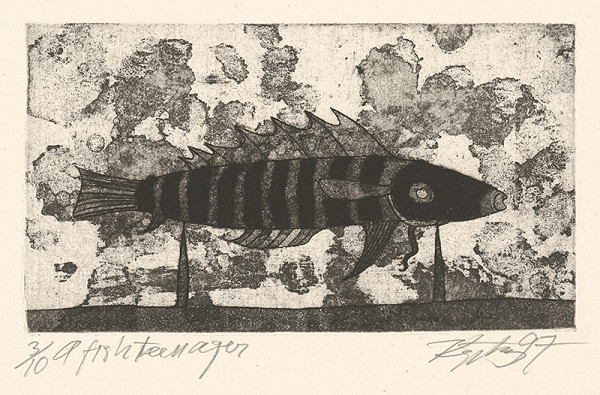 Rimvydas Kepežinskas – A Fish Teenager 