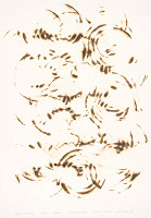 Peter Kalmus – Partitúra pre hard rockové vypaľováky 