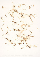 Peter Kalmus – Partitúra pre hard rockové vypaľováky 