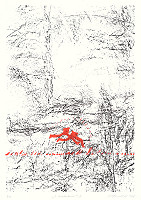 Vladimír Popovič – S Boudníkom II 