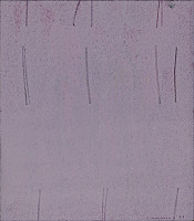 Choichi Nishikawa – 99 # 63 