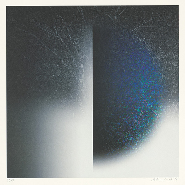 Susumu Endo – Space & Space /Nature - 94 H 