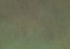 Marek Kvetan – Natural Born Killers 