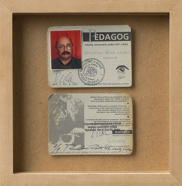 Peter Rónai – Dejiny slovenského výtvarného umenia 