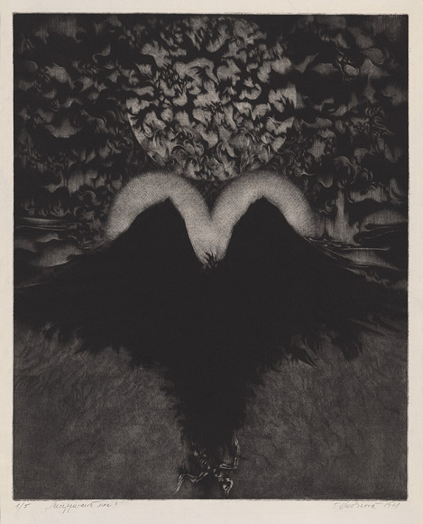 Terézia Kružlicová – Nevyspievaná noc 