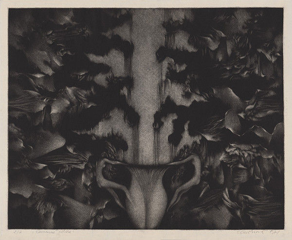 Terézia Kružlicová – Kamenné zátišie 