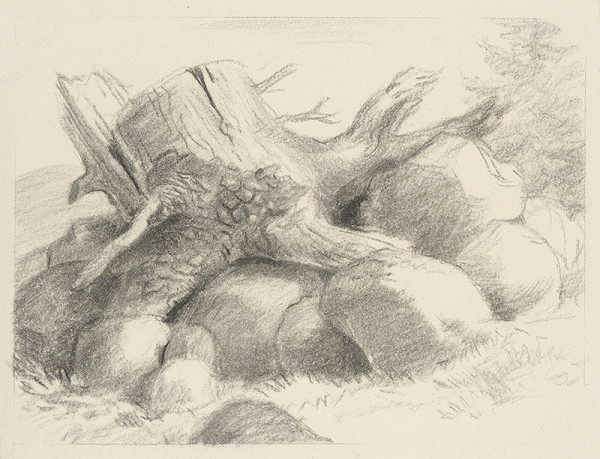 Fedor Klimáček – Chlpatí kamaráti I.