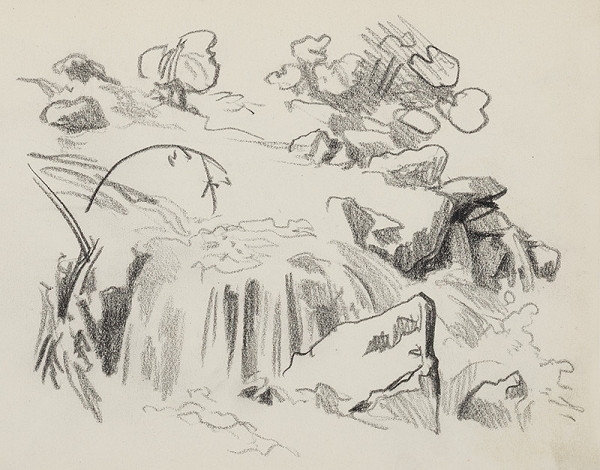 Jaroslav Vodrážka – Kresba č. 5 - Les 