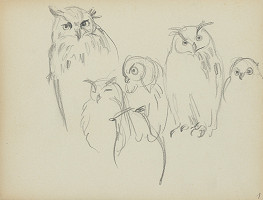 Jaroslav Vodrážka – Kresba č. 1 - ZOO, Ara, Sovy 