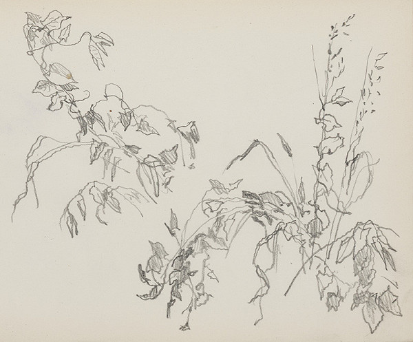 Jaroslav Vodrážka – Kresba č. 46 - Turčianske Teplice 