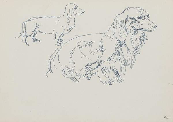 Jaroslav Vodrážka – Kresba č. 14 - Psi - Lysoleje 