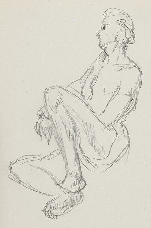 Jaroslav Vodrážka – Kresba č. 50 - Akty, Múzeum, Vtáky 