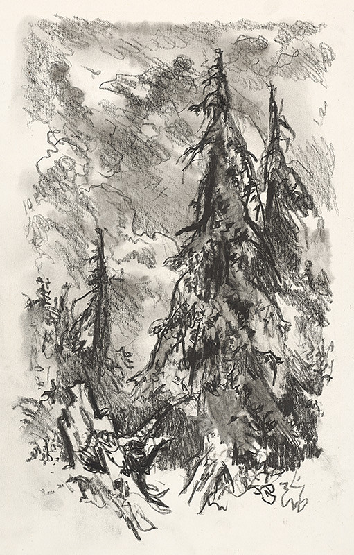 Jaroslav Vodrážka – Krajina VII 