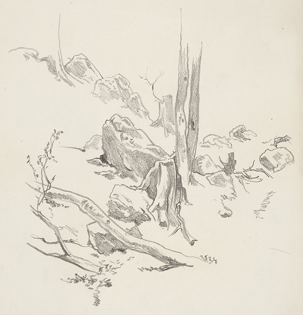 Jaroslav Vodrážka – Kamenistý svah 