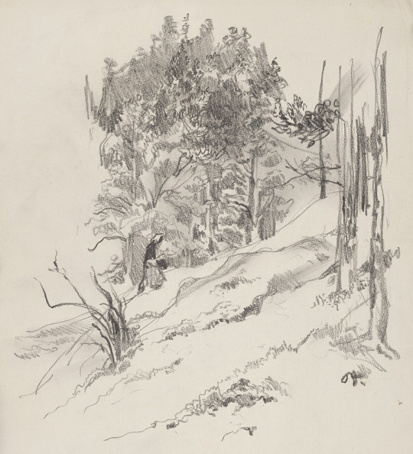 Jaroslav Vodrážka – Do hory 