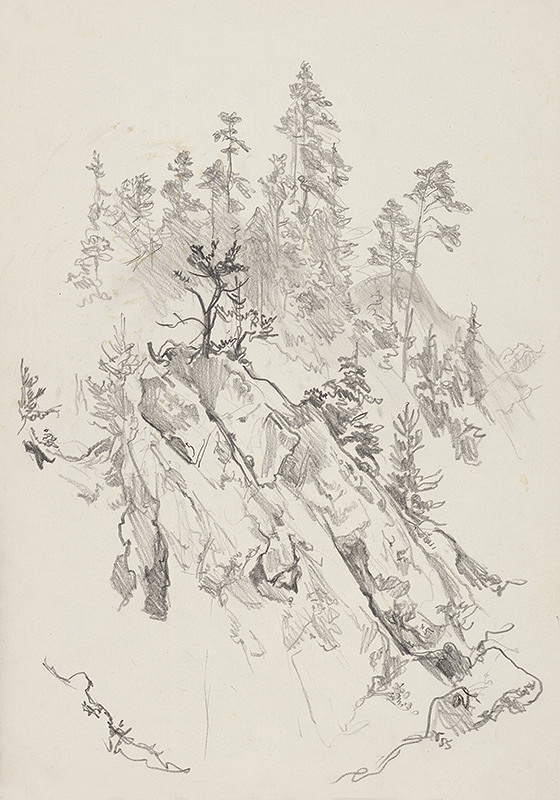 Jaroslav Vodrážka – Skala v lese 