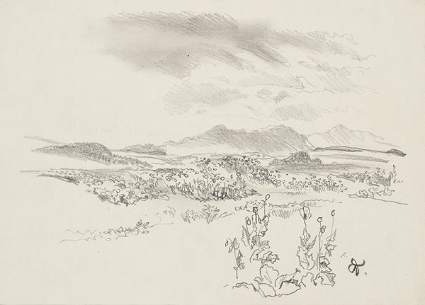 Jaroslav Vodrážka – Krajina s makovým poľom 