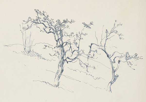 Jaroslav Vodrážka – Zjara 