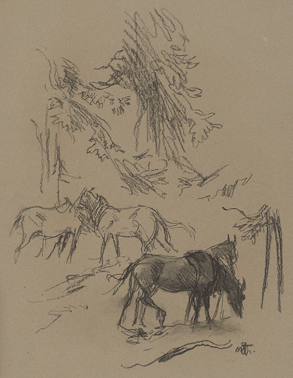 Jaroslav Vodrážka – Kone 