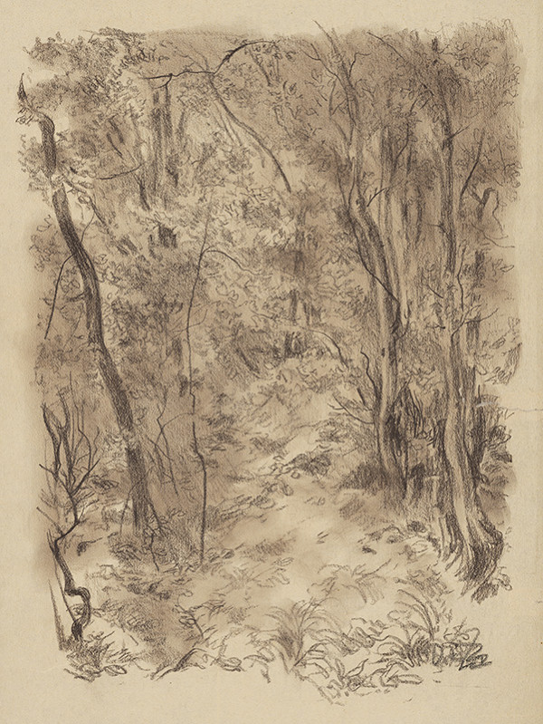 Jaroslav Vodrážka – Huština 