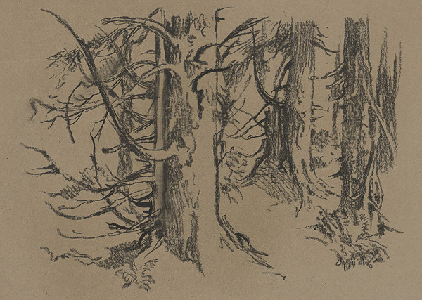 Jaroslav Vodrážka – Staré kmene 