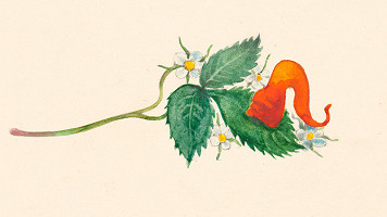 Alžbeta Štefunková-Szabová – Ilustrácia ku knihe Škriatkovia z basy 