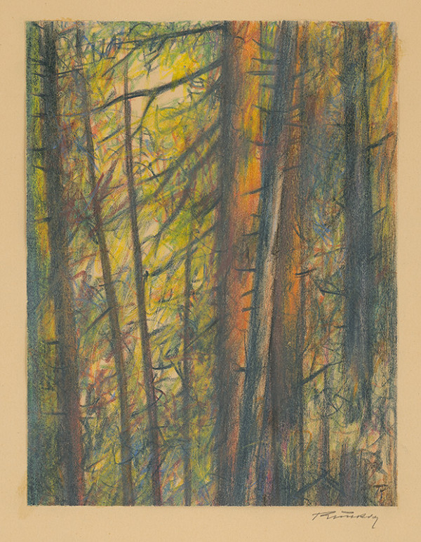 Viliam Ruttkay-Nedecký – Les 