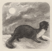 Fedor Klimáček – Kuna pelešnica 