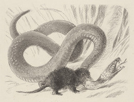 Fedor Klimáček – Pískoria rodina 