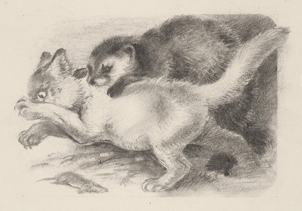 Fedor Klimáček – Tchor 