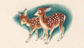 Fedor Klimáček – Hlúpe opičky 