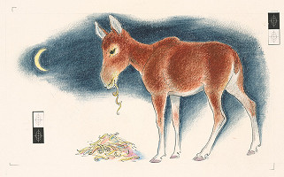 Fedor Klimáček – Hlúpe opičky 