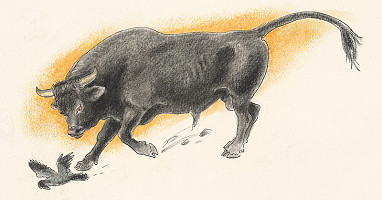 Fedor Klimáček – Hlúpe opičky 